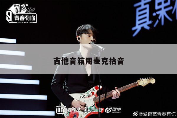吉他音箱用麦克拾音