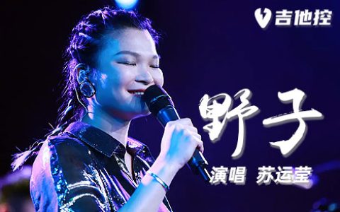 野子吉他谱,《野子》C歌曲,C调简单指弹教学简谱,2张六线谱图片